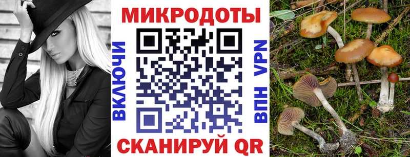Галлюциногенные грибы прущие грибы Усть-Лабинск